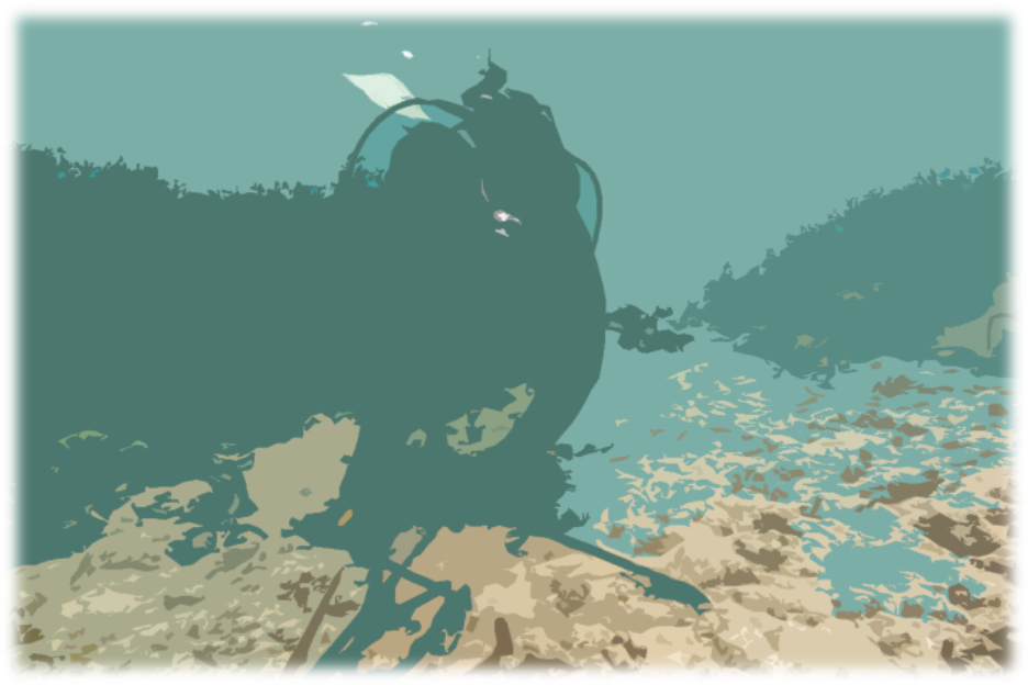 Ecology & Life: A Personal Journey